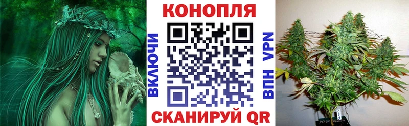 Конопля AK-47 Полярный
